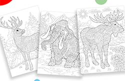 Mandala Animals for Adults - coloring eBook